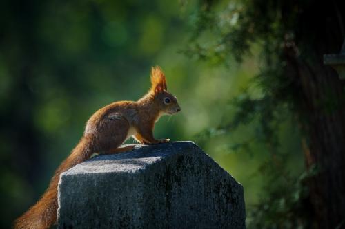 33044ecf-9731-4caf-9c19-04657ddf2ef6